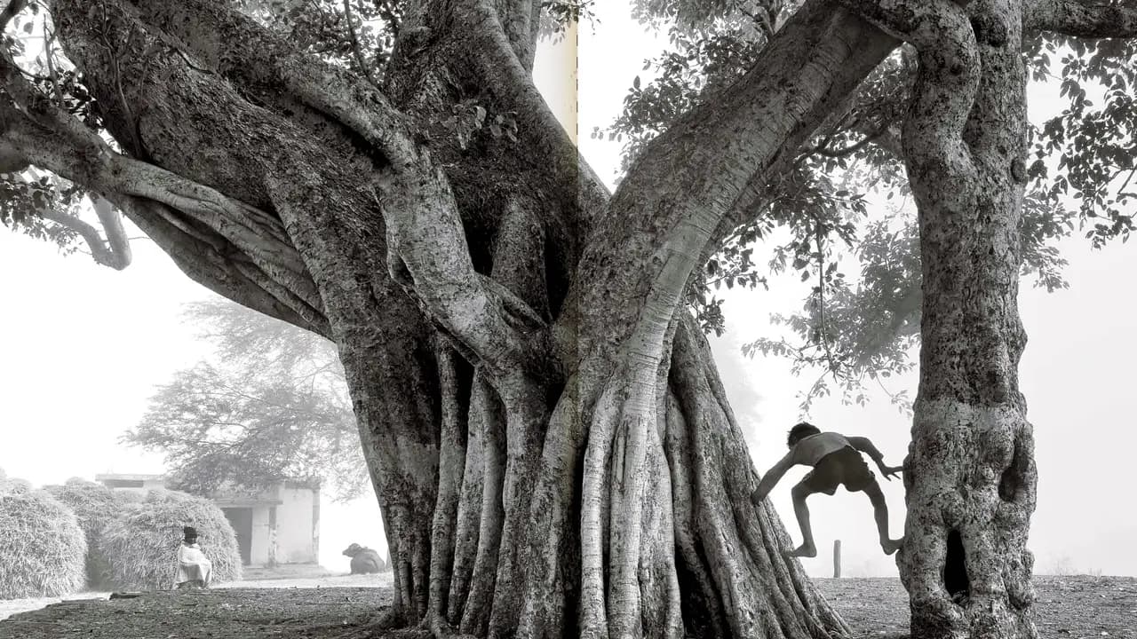 Explore Jangarh Singh Shyam's unique artistic legacy at an exhibition in Mumbai