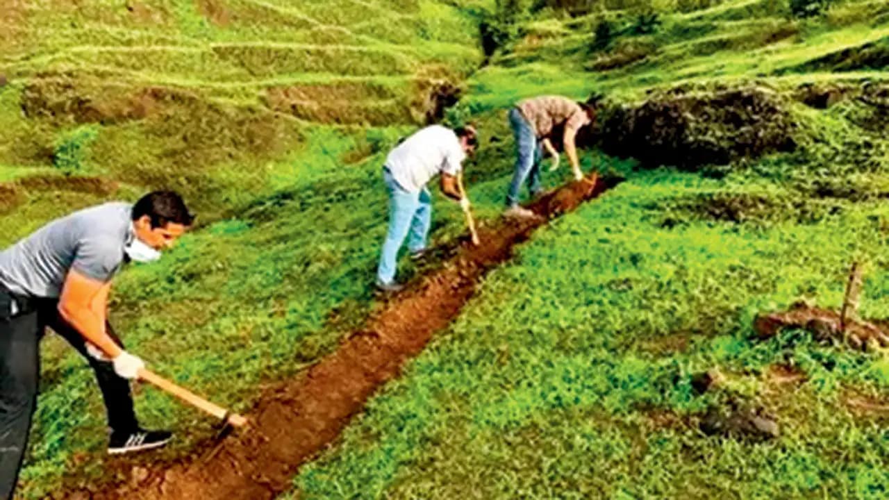Environment Day: Meet these Mumbai eco-warriors making the city better